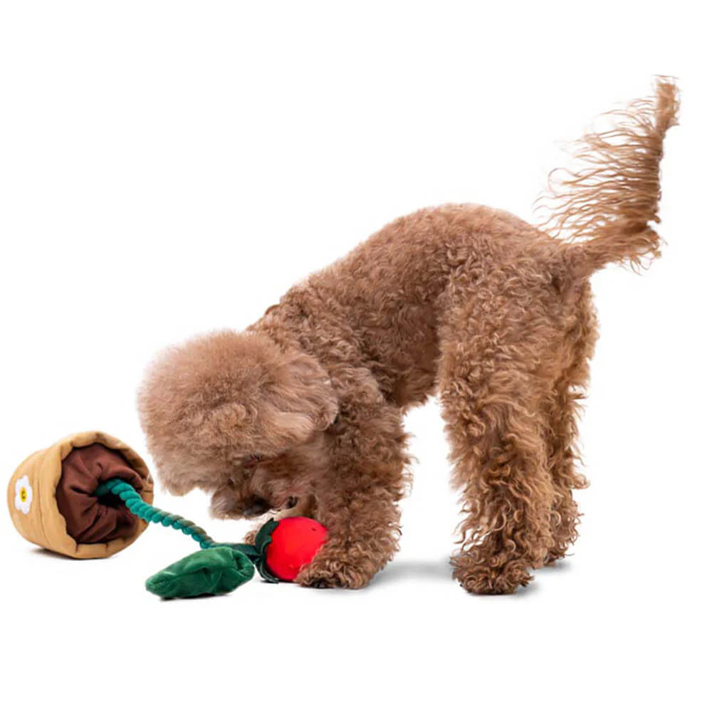 Quietschspa Hundespielzeug-Set – Interaktive Plüsch-Leckereien und Kaue-Spa