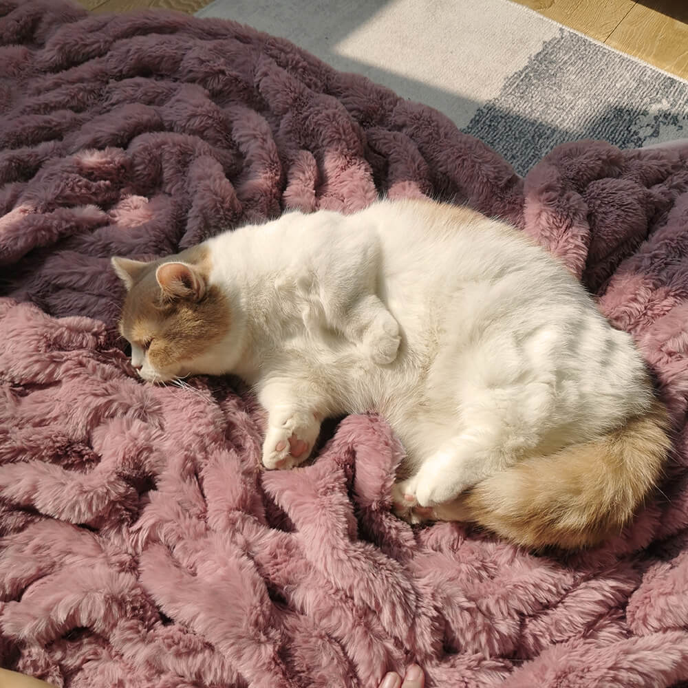 Lussuosa coperta super morbida in pelliccia sintetica e velluto, per animali e persone