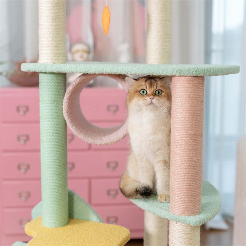 Wonderland Kratzbaum-XL – Der ultimative Spiel- und Ruheraum für Katzen
