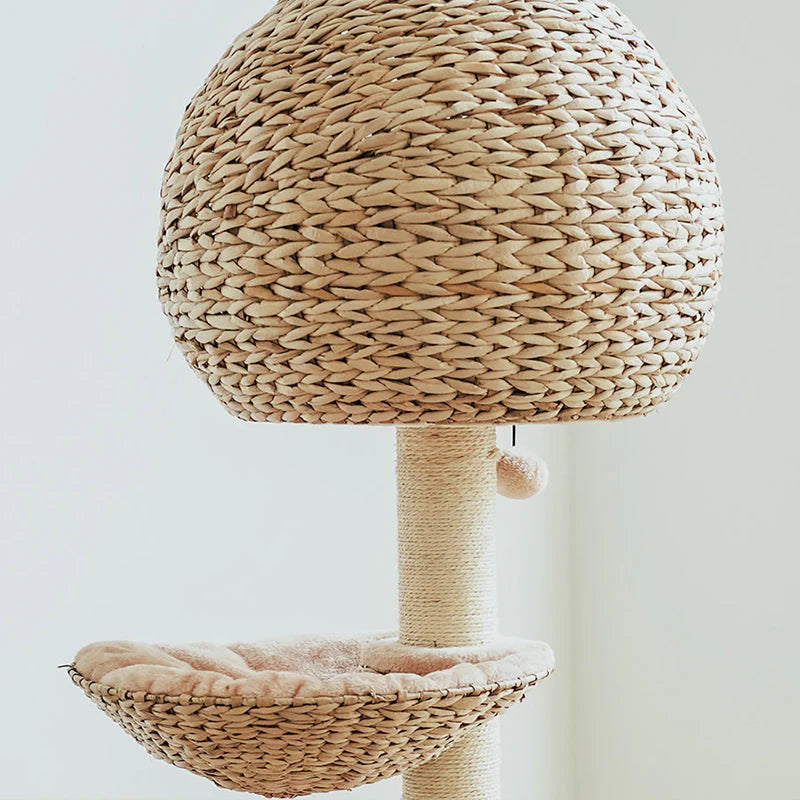 Vogelnest-Kratzbaum für Katzen – Der perfekte Ruhe- und Spielplatz für Ihre Katze