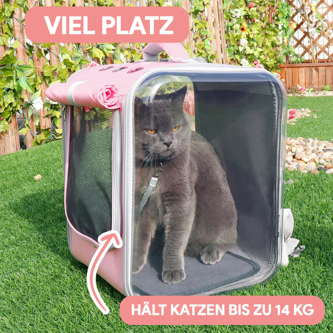 Zaino per gatti comodo per viaggiare - Ventilato e sicuro