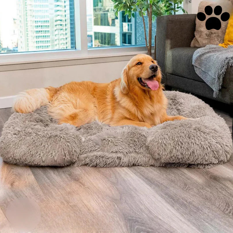Max | Comoda cuccia per cani con Memory Foam