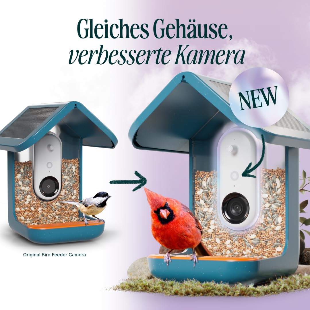 Bird Buddy Pro Solar Smart Vogelfutterstation mit Kamera – AI-Vogelarten-Identifikation, 5-MP-Fotos, 2K-Ultra-Video-Live-Stream-Kamera, Zeitlupenvideo, 6,6 cm Fokus – Blue Solar