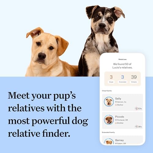 Wisdom Panel Essential Hunde DNA-Kollektorset