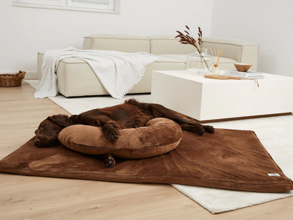 Tappetino per cani Jokkmokk Mynki
