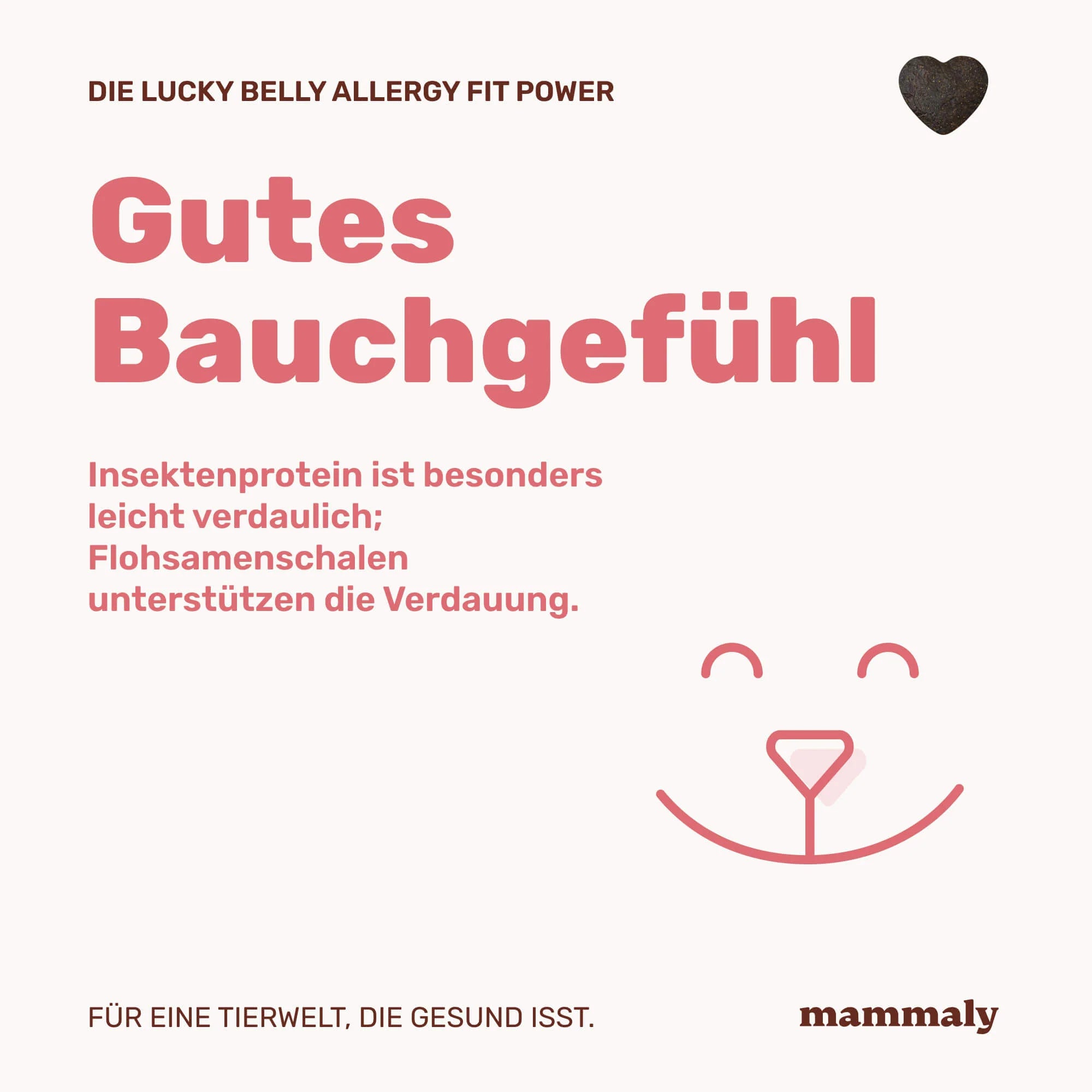 Lucky Belly Allergy Fit