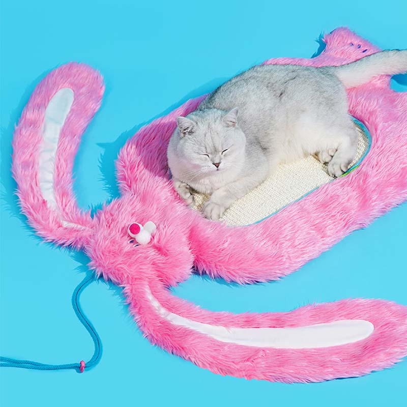 FunkyPaws – Vielseitiges Katzenbett und Kratzbrett für Spiel und Entspannung