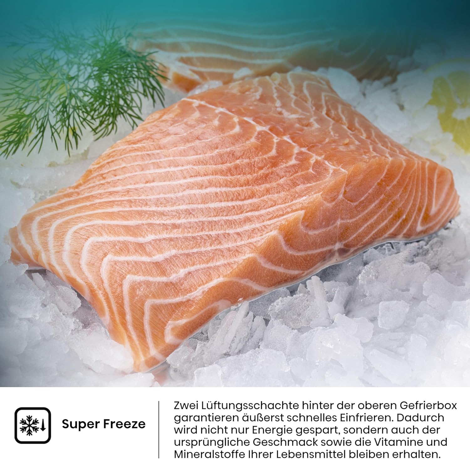 Hisense RB327N4ADD Frigorifero Combinato, Classe Energetica D, Total NoFrost, Porta Reversibile, Griglia Portabottiglie, Vano Frigo 171 Litri, Vano Congelatore 85 Litri, Look Acciaio Inox