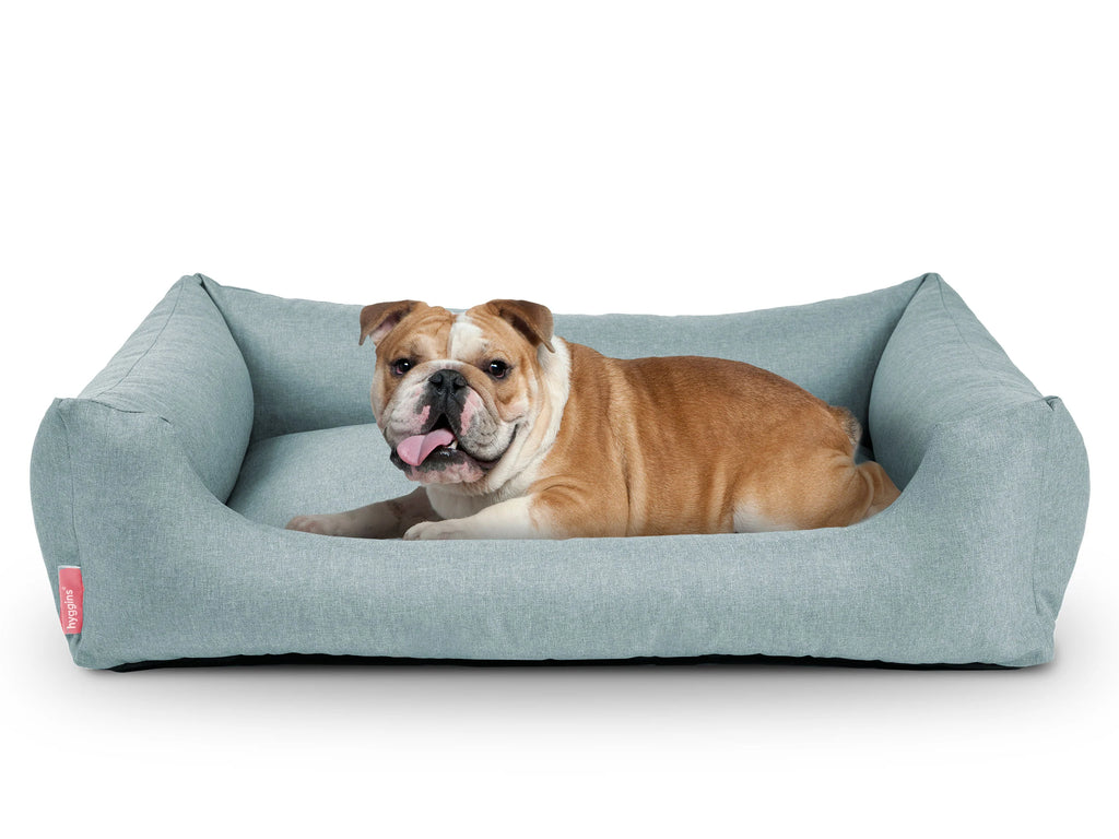 Cuccia per cani Dreamer Pure