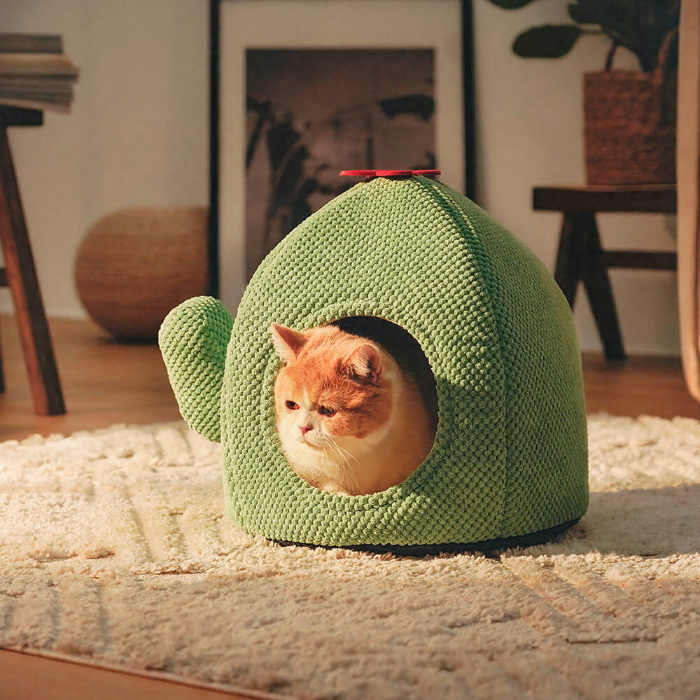 KatzenOase – Cestino a forma di cactus per ore di sonno accoglienti per i gatti
