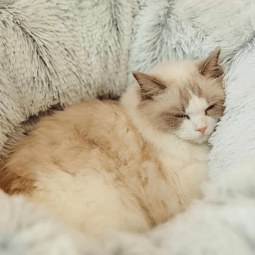 FelineKomfort – Klappbares Tunnelbett für Schlafen und Spielen
