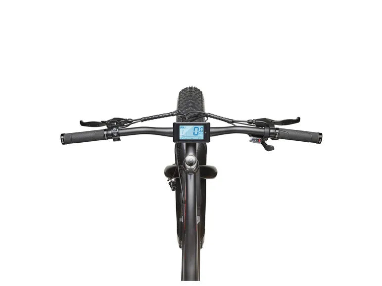 E-Bike Fat Bike Aufsteiger FM350 26 Zoll schwarz