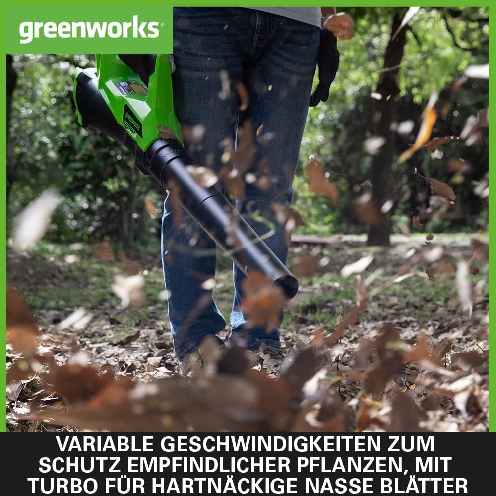 Greenworks G40ABK2 Axial Laubblser mit Tempomat, 177 km/h, 11,05 m/min, 40V 2Ah Batterie & Ladegert, 3 Jahre Garantie