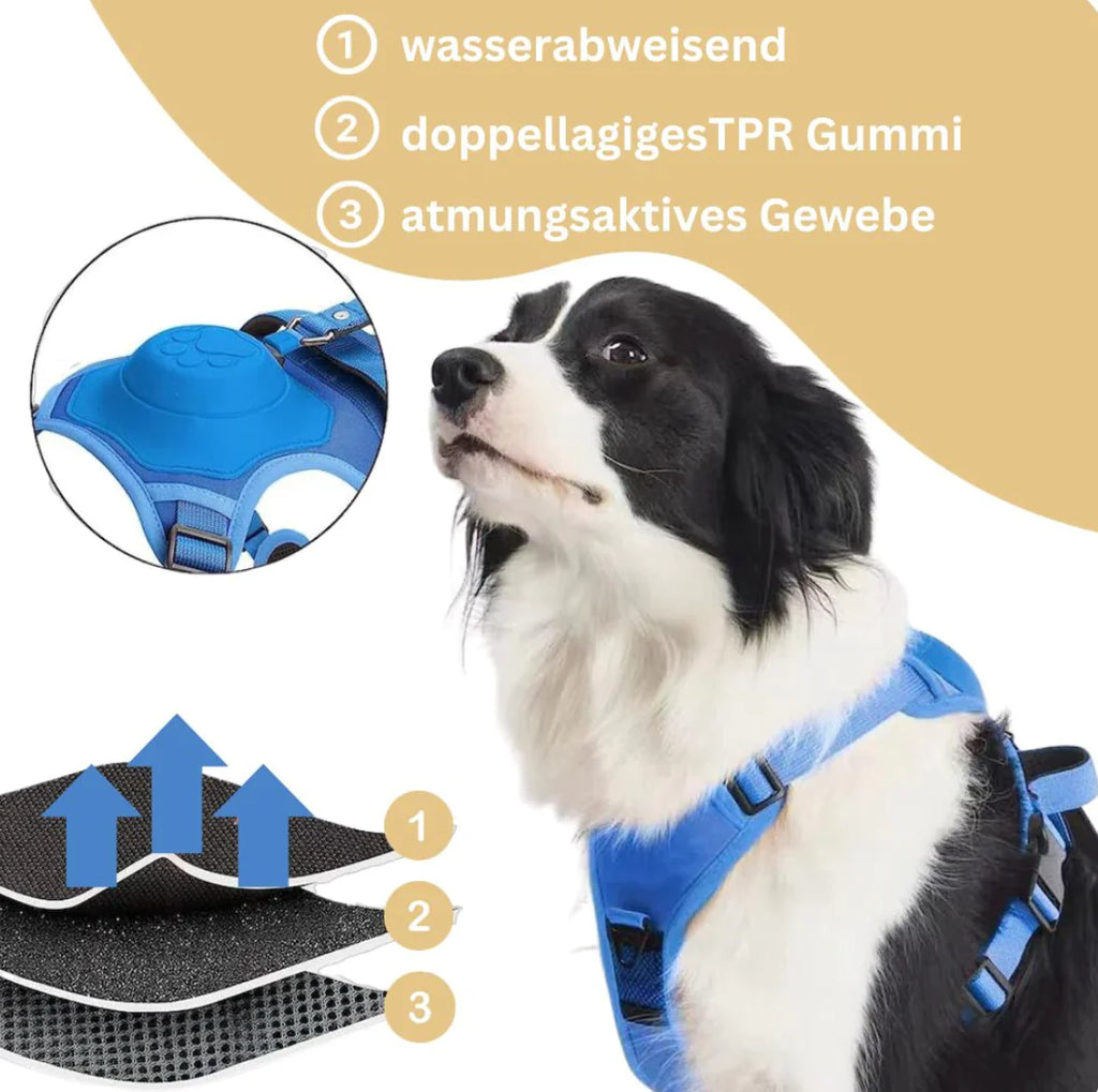 Imbracatura per cani con guinzaglio integrato: comfort e controllo in un'unica soluzione