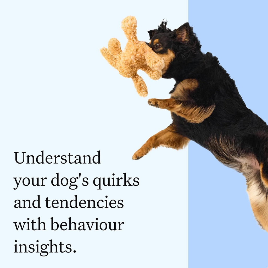 Wisdom Panel Essential Hunde DNA-Kollektorset