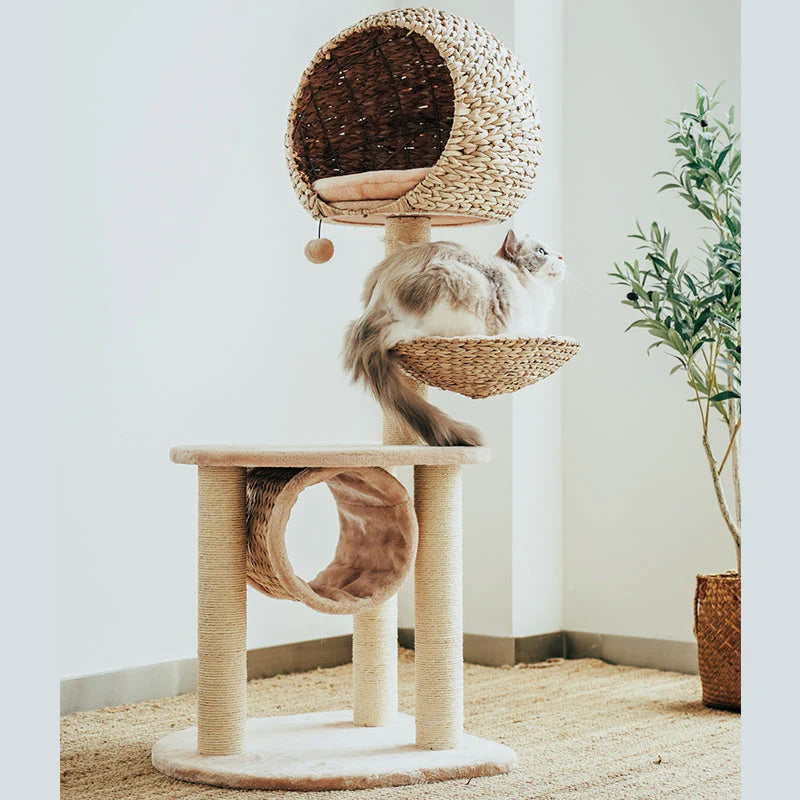 Vogelnest-Kratzbaum für Katzen – Der perfekte Ruhe- und Spielplatz für Ihre Katze