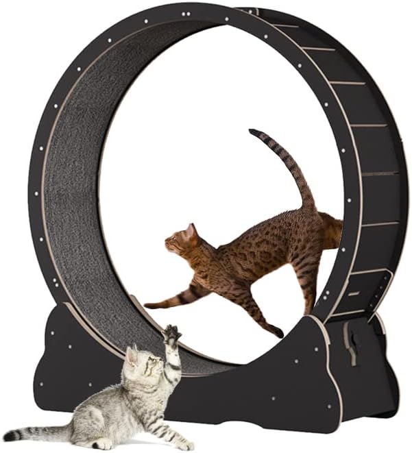 Keyzone Laufrad für Katzen, 1100 x 345 x 1170 mm Laufband für Katzen, Laufband mit Teppichboden, Fitnessgerät zur Gewichtsabnahme, Sportspielzeug für Katzen, für EIN längeres Leben der Katze