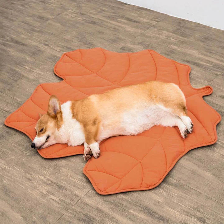 Pip | Coperta soffice per cani