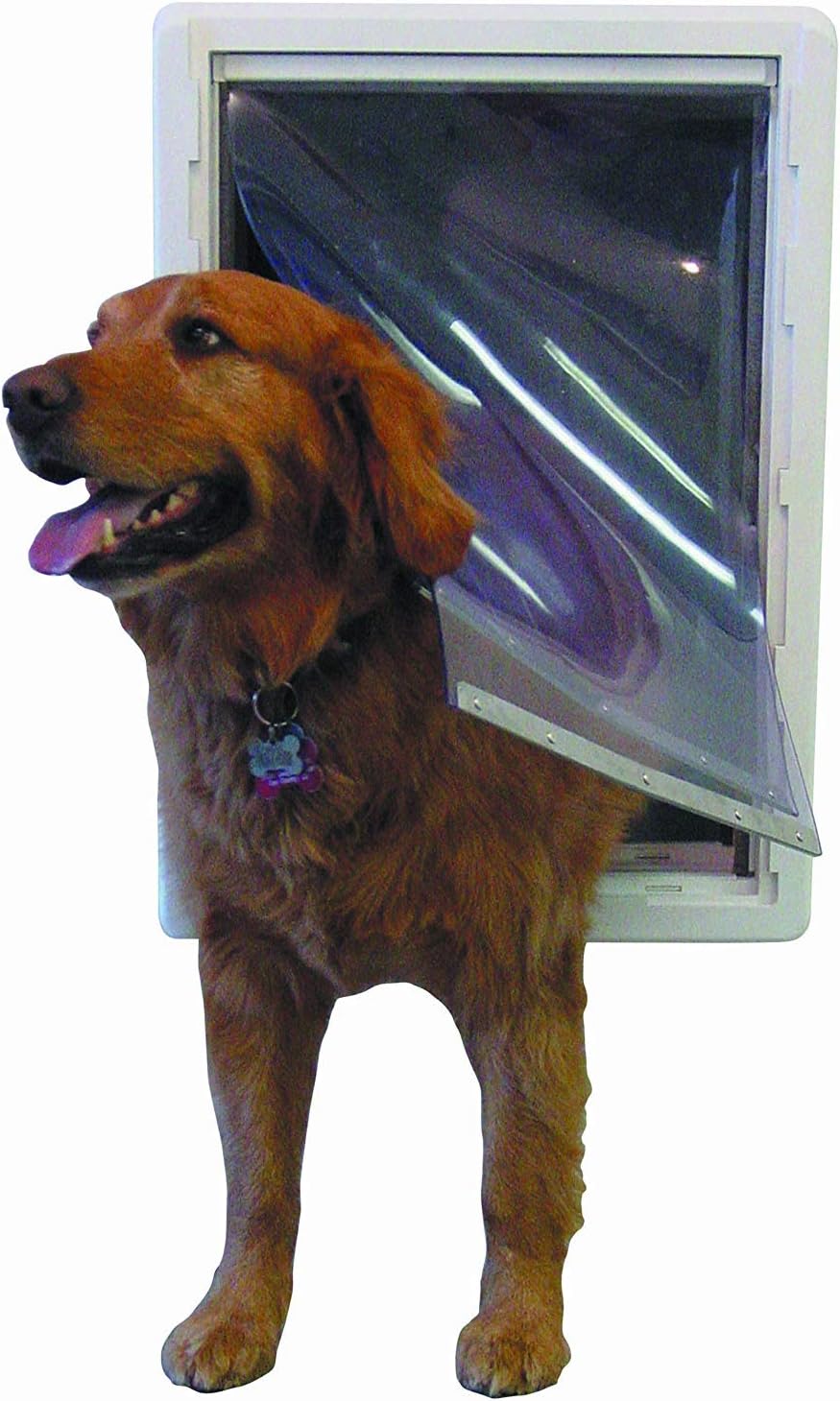 Perfect Pet La porta per cani ad alta efficienza energetica per tutte le stagioni, taglia super grande, sportello da 38,1 x 59,7 cm