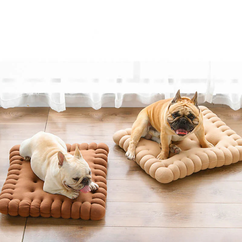 Komfortables Hundebett – Keksform für stilvolles Schlafen