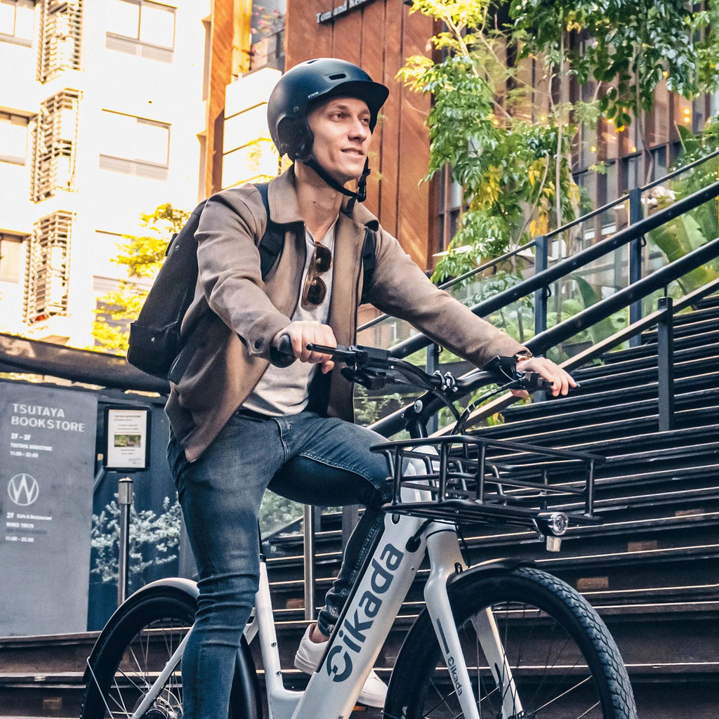 Cikada Fahrradkorb gro
