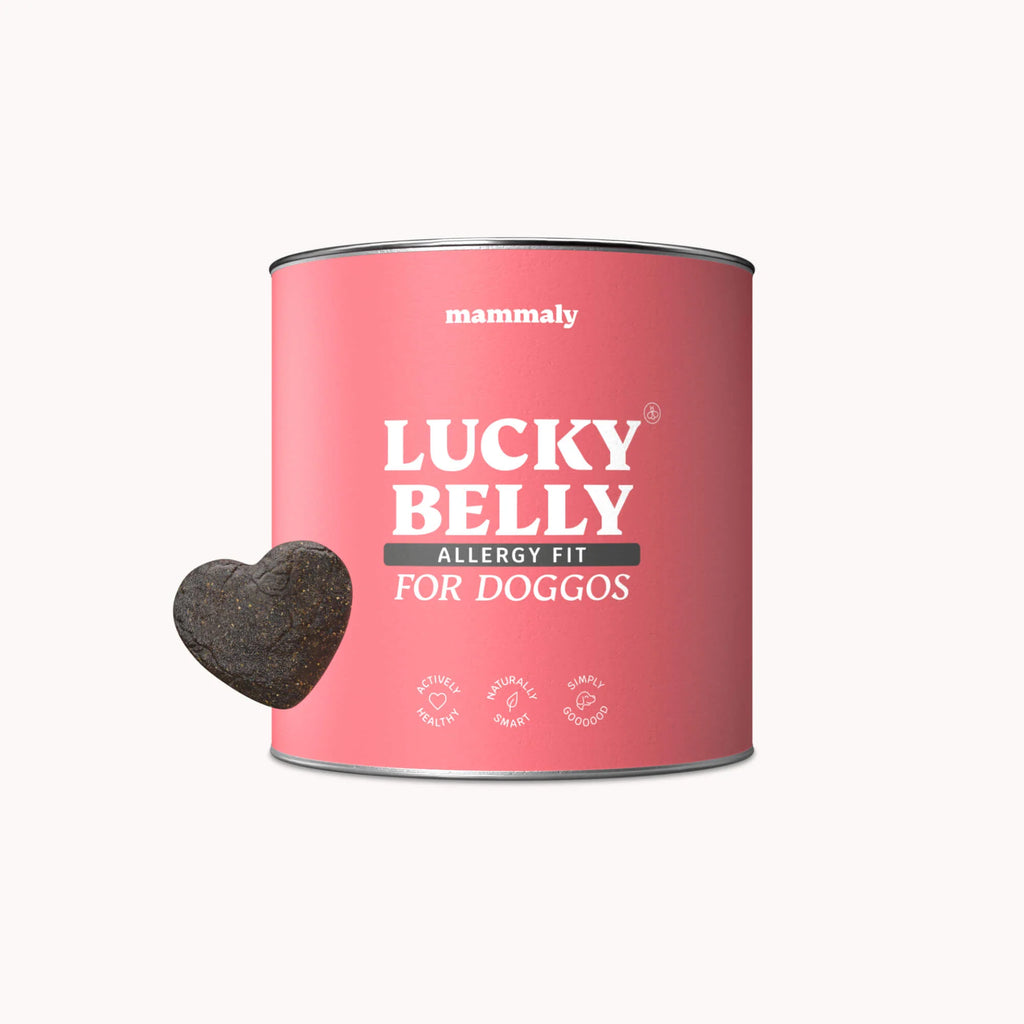 Lucky Belly Allergy Fit