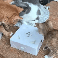 Fafas Giocattolo Interattivo per Gatti – Gioco Veloce con Piuma per Gatti Attivi