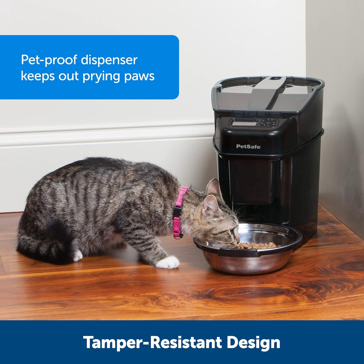 PetSafe Smart Feed Distributore Automatico di Cibo, con Controllo da Smartphone tramite App, Adatto per Cibo Secco, Capacità 1,5 L, Nero, Grigio