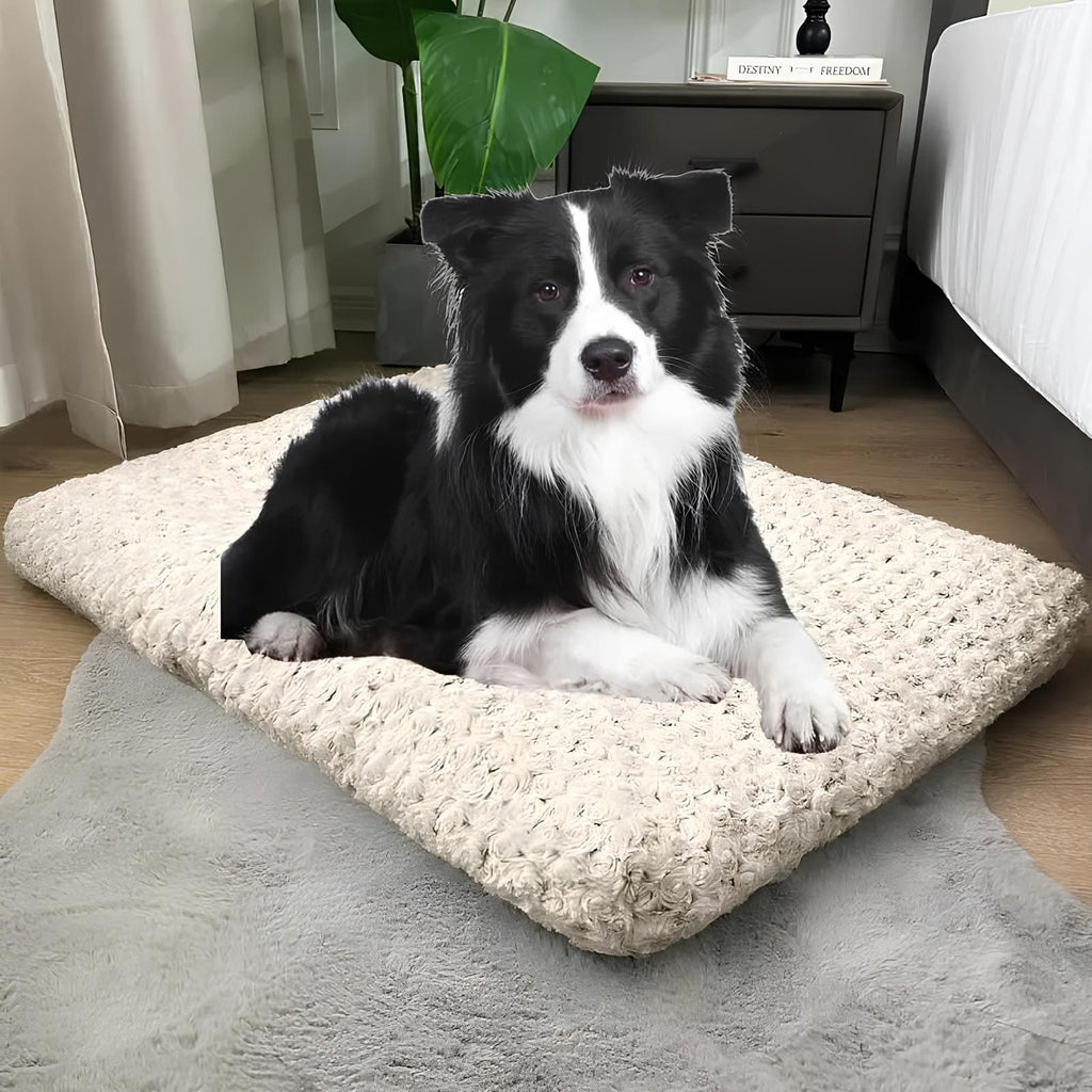 Cuscino morbido per cani – Materassino morbido e accogliente per cani