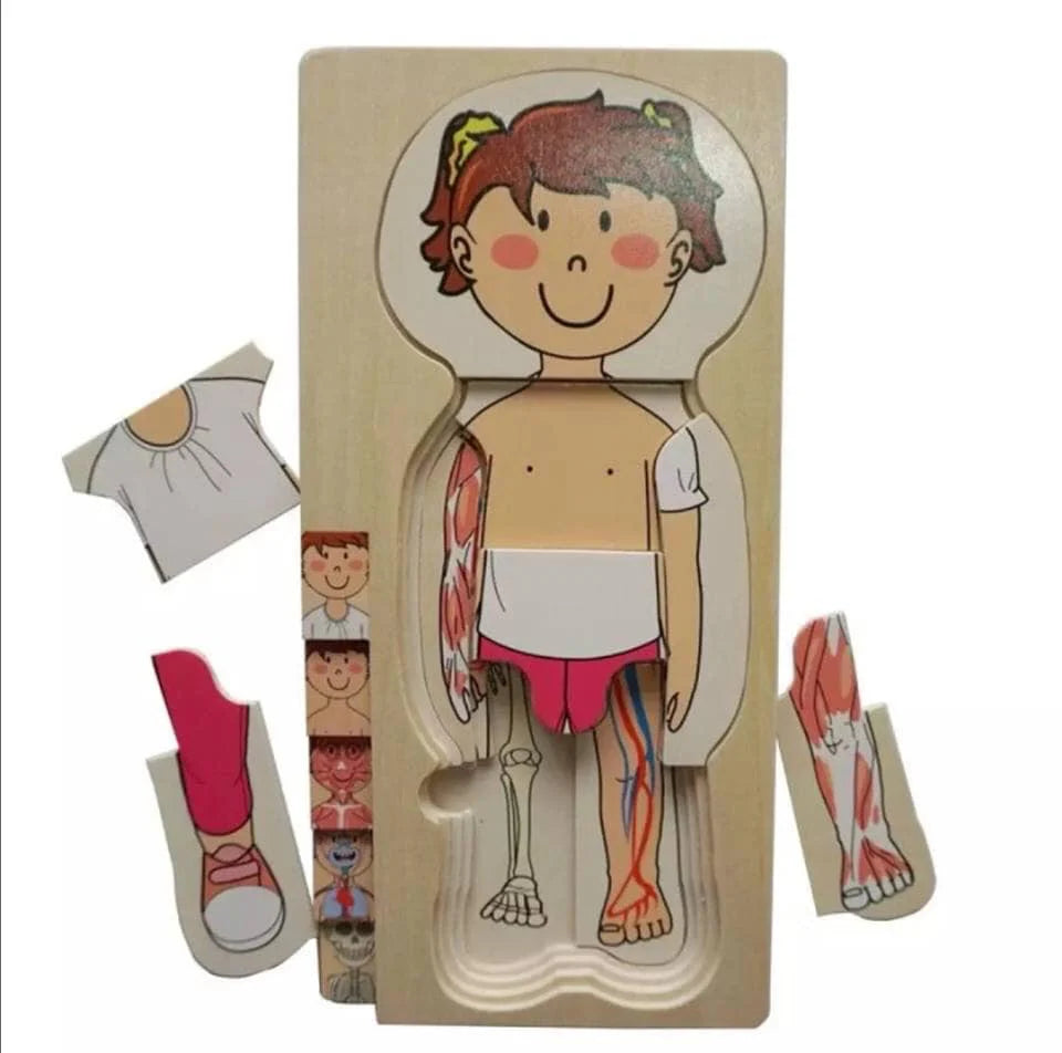 Woods - Avventura Anatomica - Puzzle in Legno