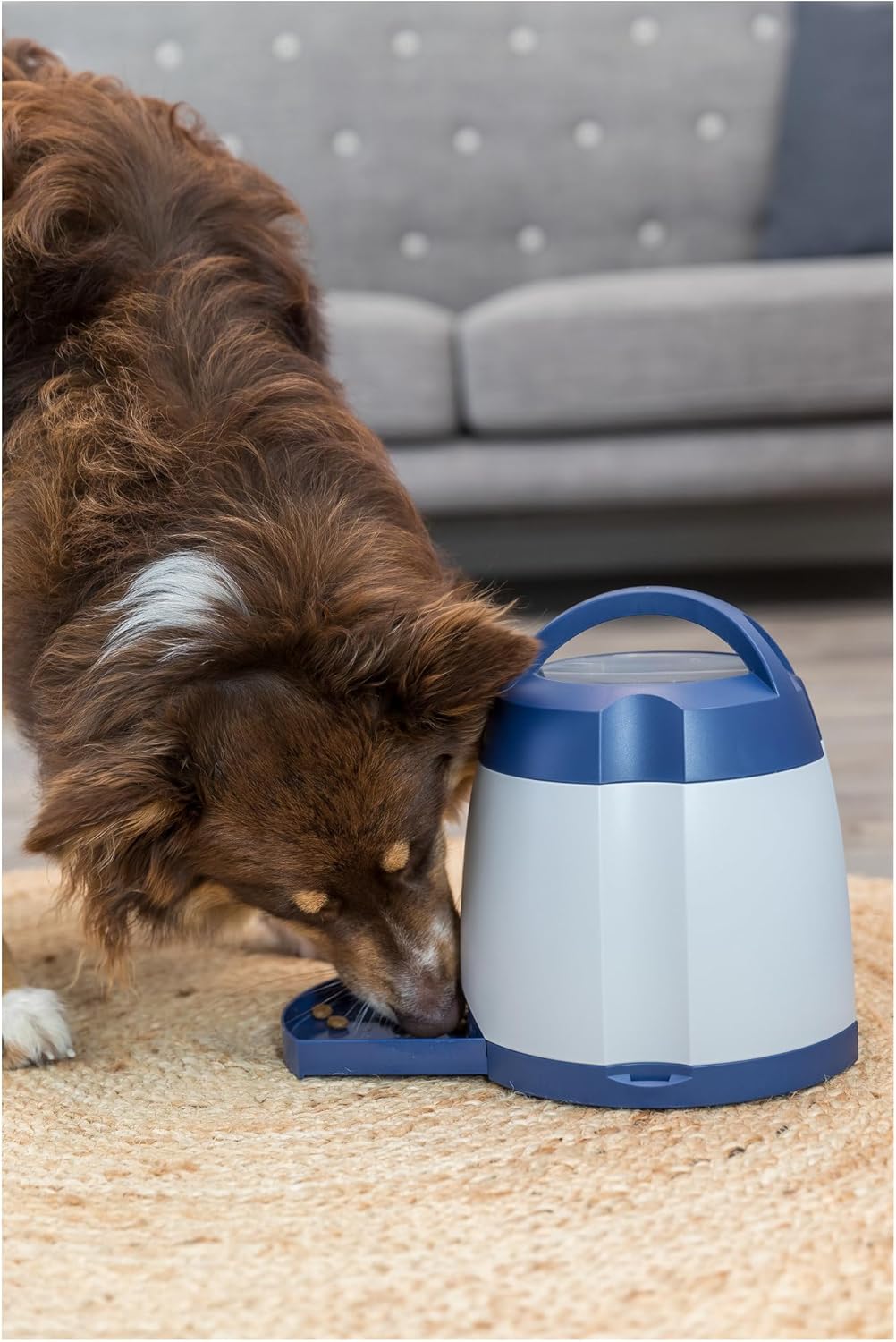 TRIXIE Hundespielzeug Intelligenz Dog Activity Strategie-Spiel Memory Trainer 3.0 – Anspruchsvolles Intelligenzspielzeug für Hunde zur Beschftigung 20x24cm, tierschutzkonform - 32040
