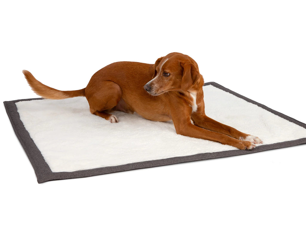 Coperta per cani Cosy Plus