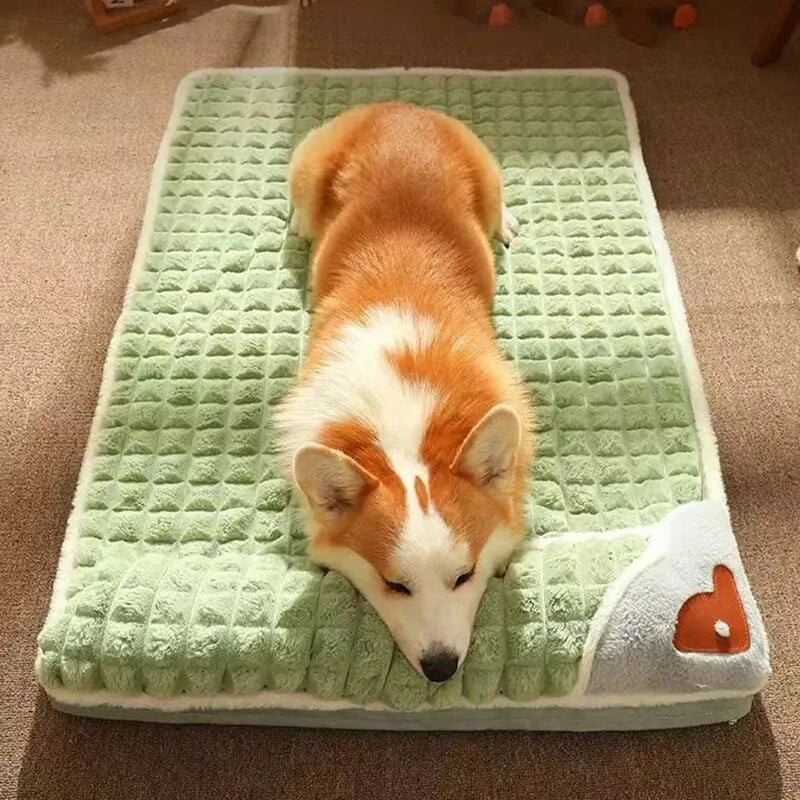 Mika | Komfortables und Unterstützendes Hundebett