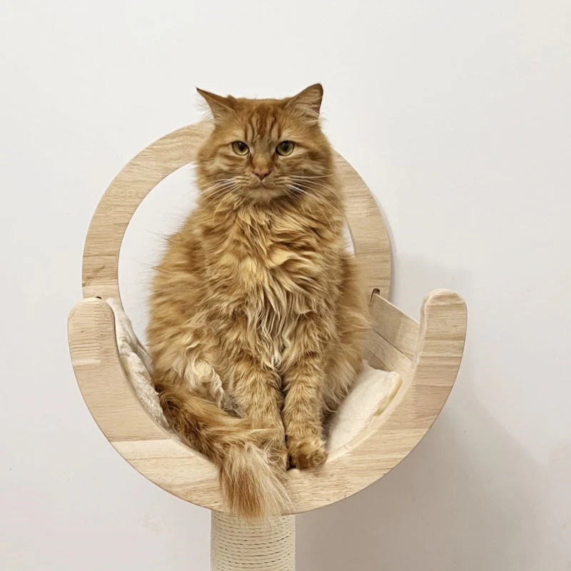 Flexibler Katzenbaum – Anpassbarer Kratzbaum für jedes Zuhause