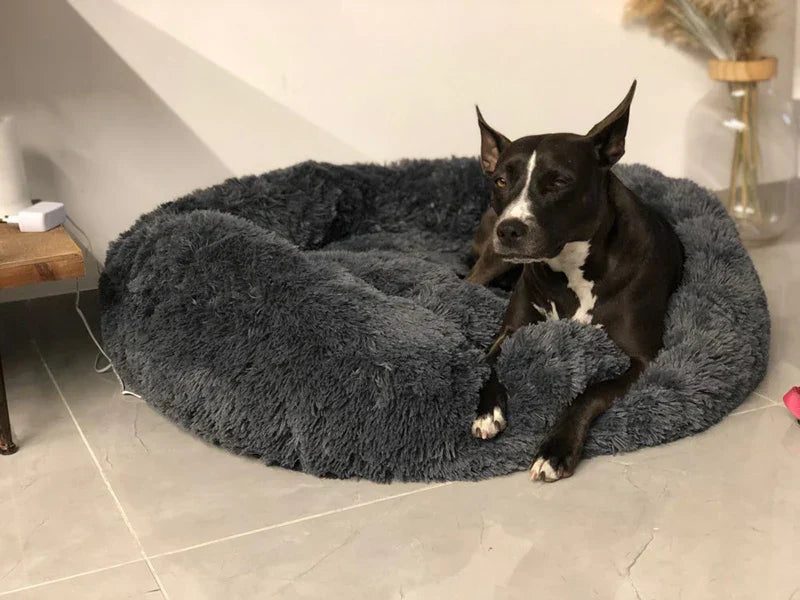 Cuccia per Cani Luna Soffice e Calmante - Cuscino Rotondo per Cani Piccoli, Medi e Grandi