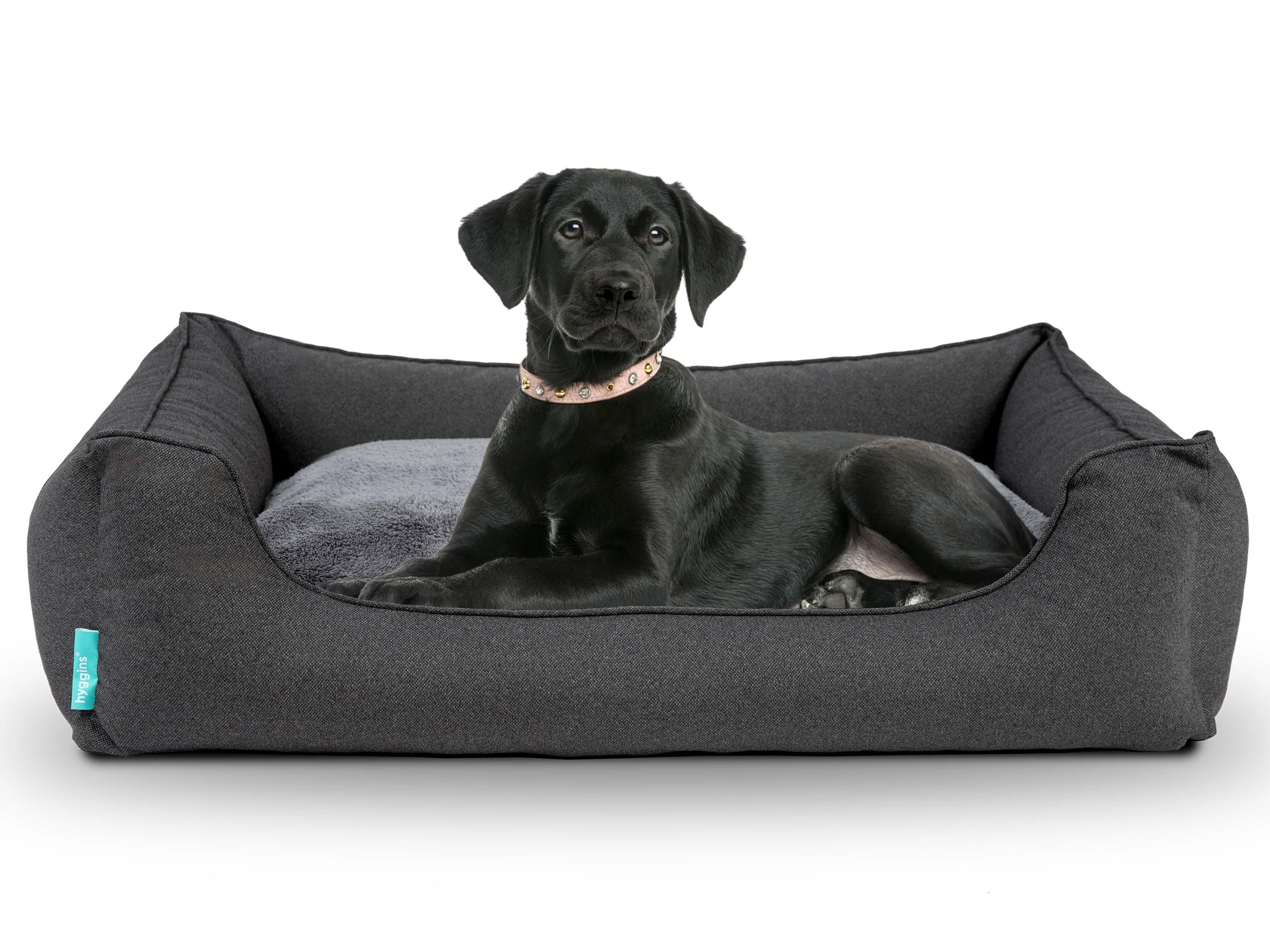 Dreamer Perfect Cuccia per Cani