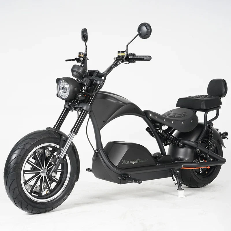 Mangosteen M1PS Rücksitz – Komfortables Upgrade für deinen E-Chopper