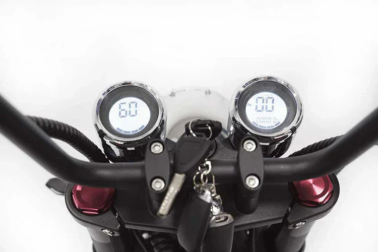 Elektro-Chopper Mangosteen M1 in Silber – 2000W Hochleistungsmotor und Stilvoll