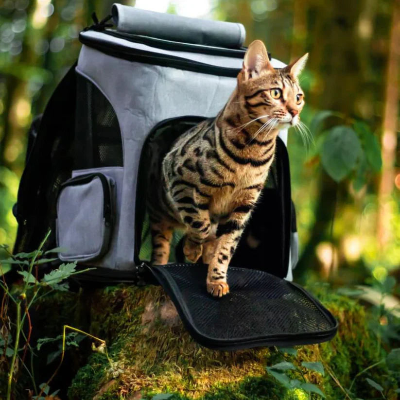 Jip | Stylischer Katzenrucksack für unterwegs