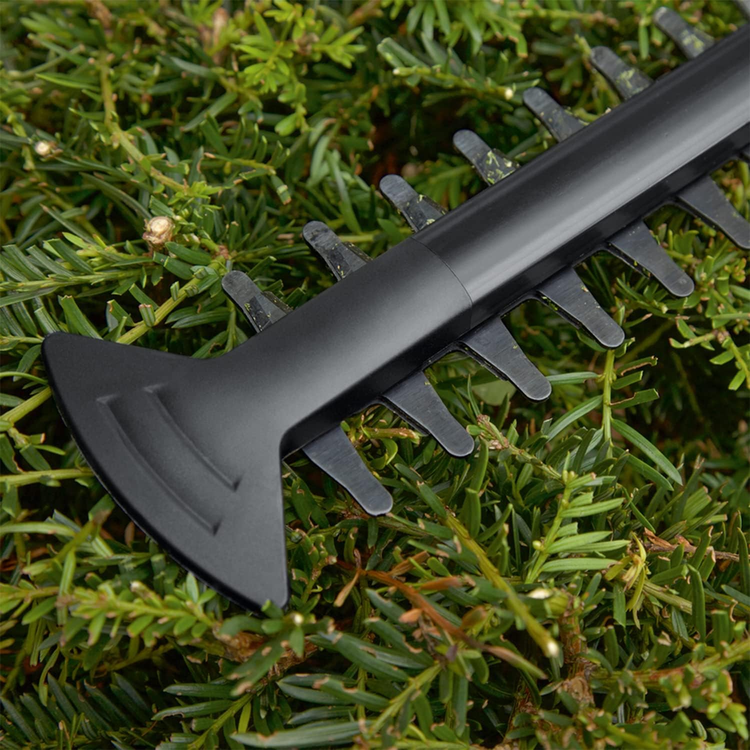 Bosch Akku Heckenschere EasyHedgeCut 18-45 (2 Akkus 2,0 Ah, 18-Volt-System, Messerlänge 45 cm, im Karton)