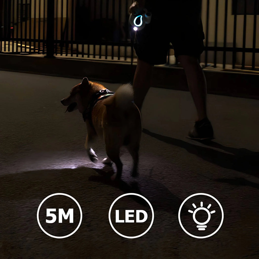 LED-Hundeleine – Einziehbare und beleuchtete Trainingsleine für sicheres Gassi gehen