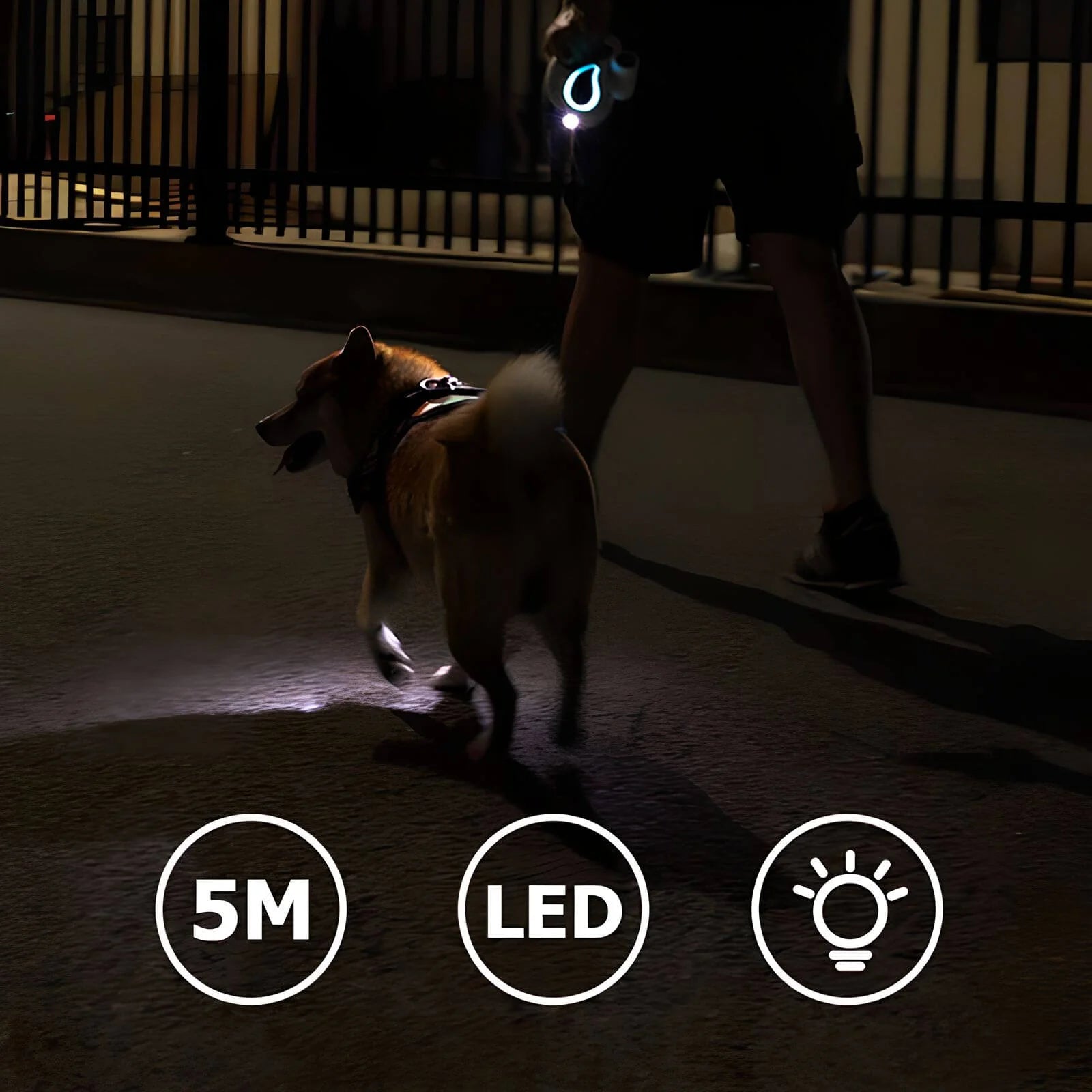 LED-Hundeleine – Einziehbare und beleuchtete Trainingsleine für sicheres Gassi gehen