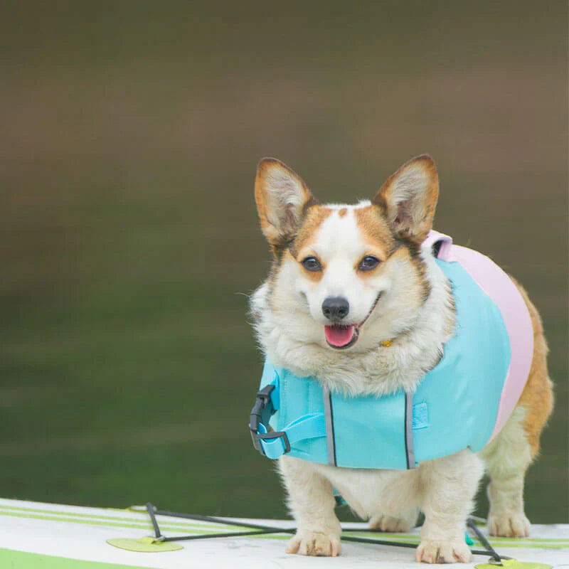 Verstellbare Schwimmweste für Hunde – Sicher und Bequem im Wasser