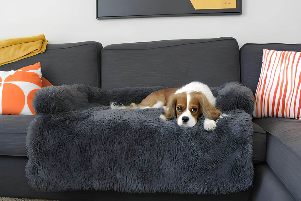 Divano accogliente per cani - Comfort e sicurezza