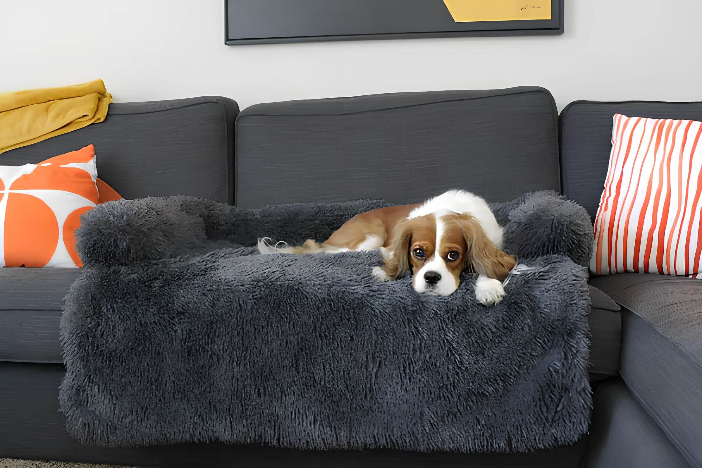 Divano accogliente per cani - Comfort e sicurezza