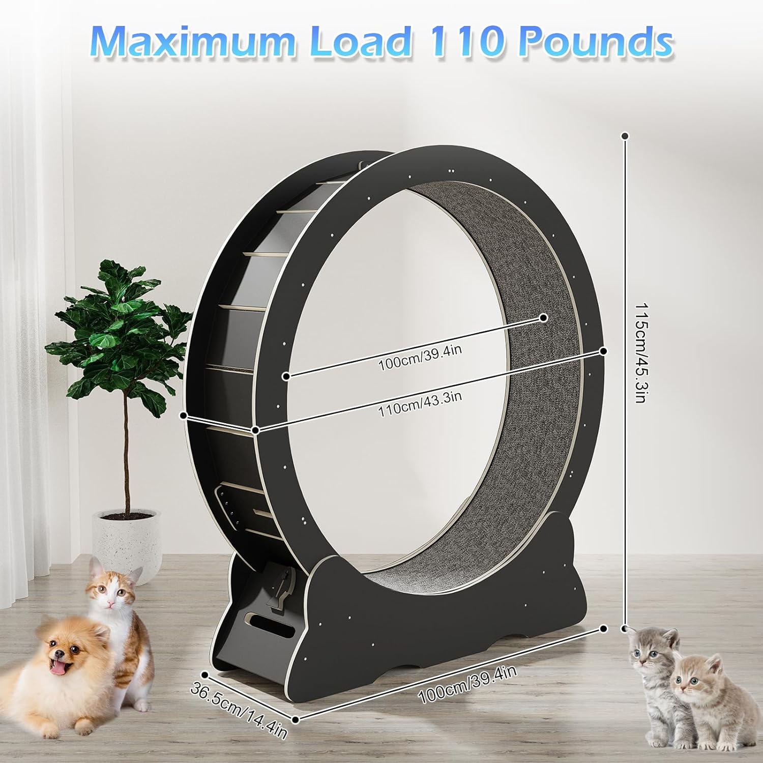 Katzenlaufrad, Laufrad für Katzen, 100cm Innendurchmesser Laufrad Katze, Super Leises Haustier Katze Laufrad Spielzeug, Holzlaufrad Laufrad Wheel Innen für Kleines Mittel Großes Katze (Holzfarbe, XL)