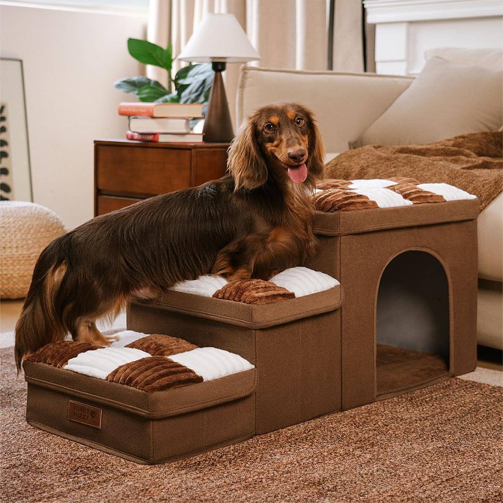 Scaletta multifunzionale per cani con vano portaoggetti e accogliente cuccia - Napsteps