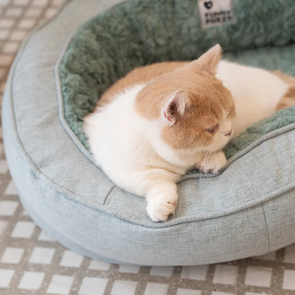 Donut Kuscheliges Orthopdisches Hundebett