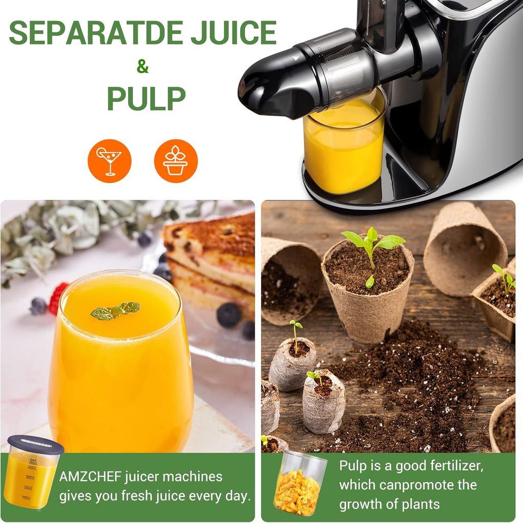 AMZCHEF Estrattore di Succo per Frutta e Verdura con 2 Modalità di Velocità - Slow Juicer con Bottiglia Portatile e 2 Tazze - Cold Press Juicer Senza BPA con LED Intelligente e Funzione di Inversione - Nero