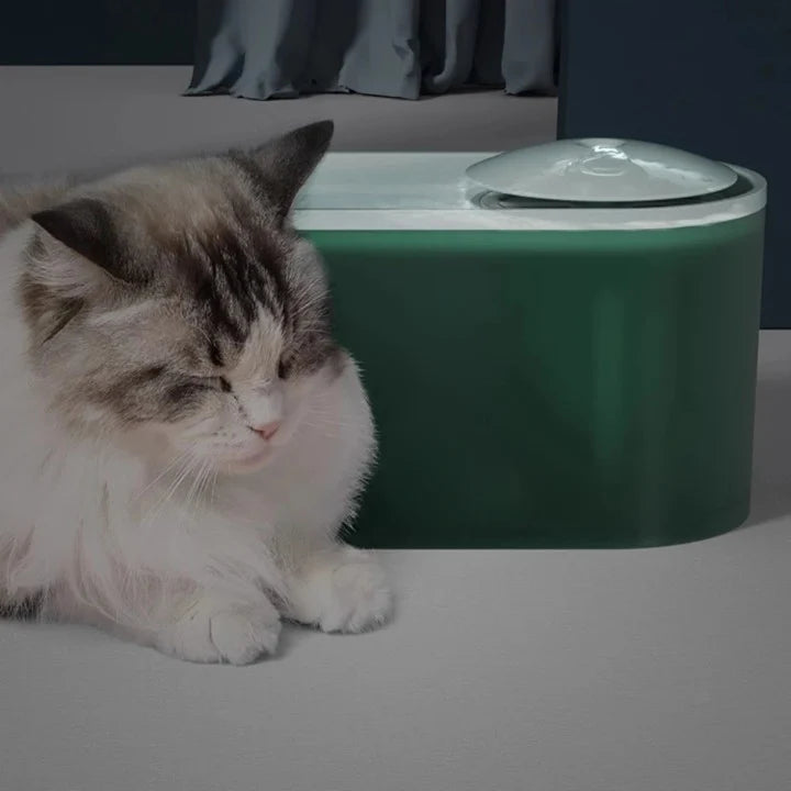 AquaPet – Distributore automatico di acqua con filtro di circolazione per animali domestici